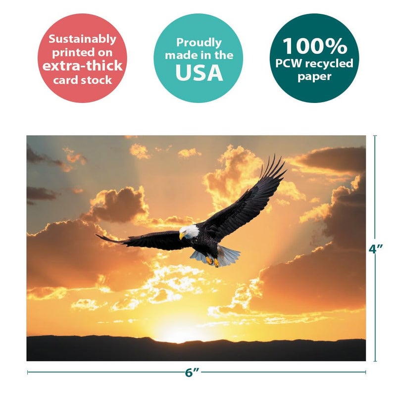 Tree-Free Greetings Soaring Bald Eagle All Occasion Cards - 12 Recycled 4x6 Notecards & White Envelopes, Thick Cardstock, Sustainably Made in USA - Beautiful Bird at Sunset - Image 4